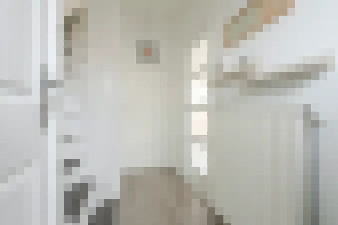 Driest 4 Eemnes thumbnail 11