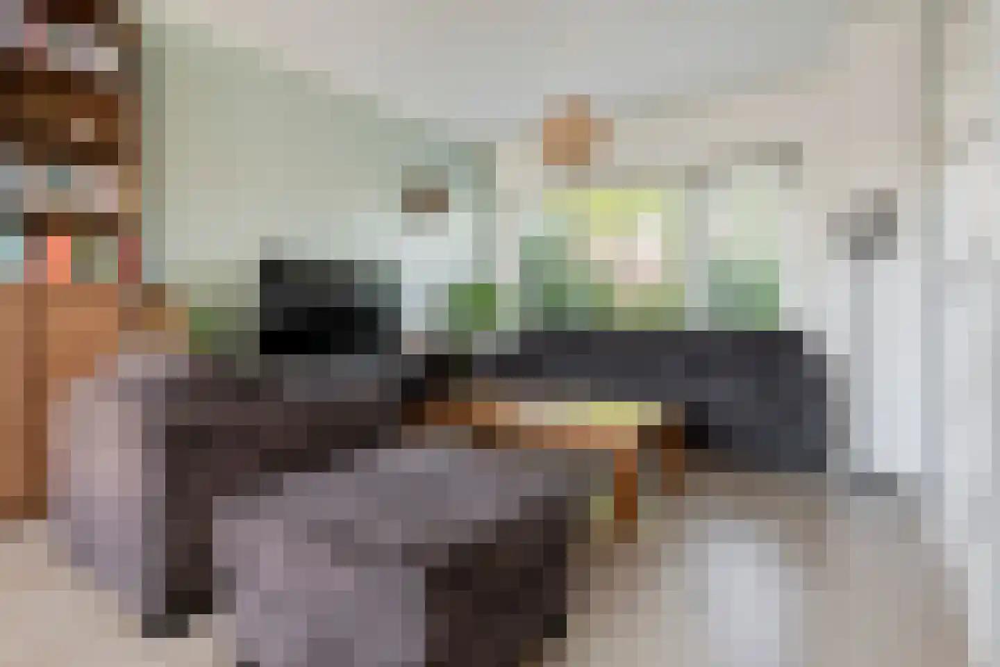 Driest 4 Eemnes thumbnail 12