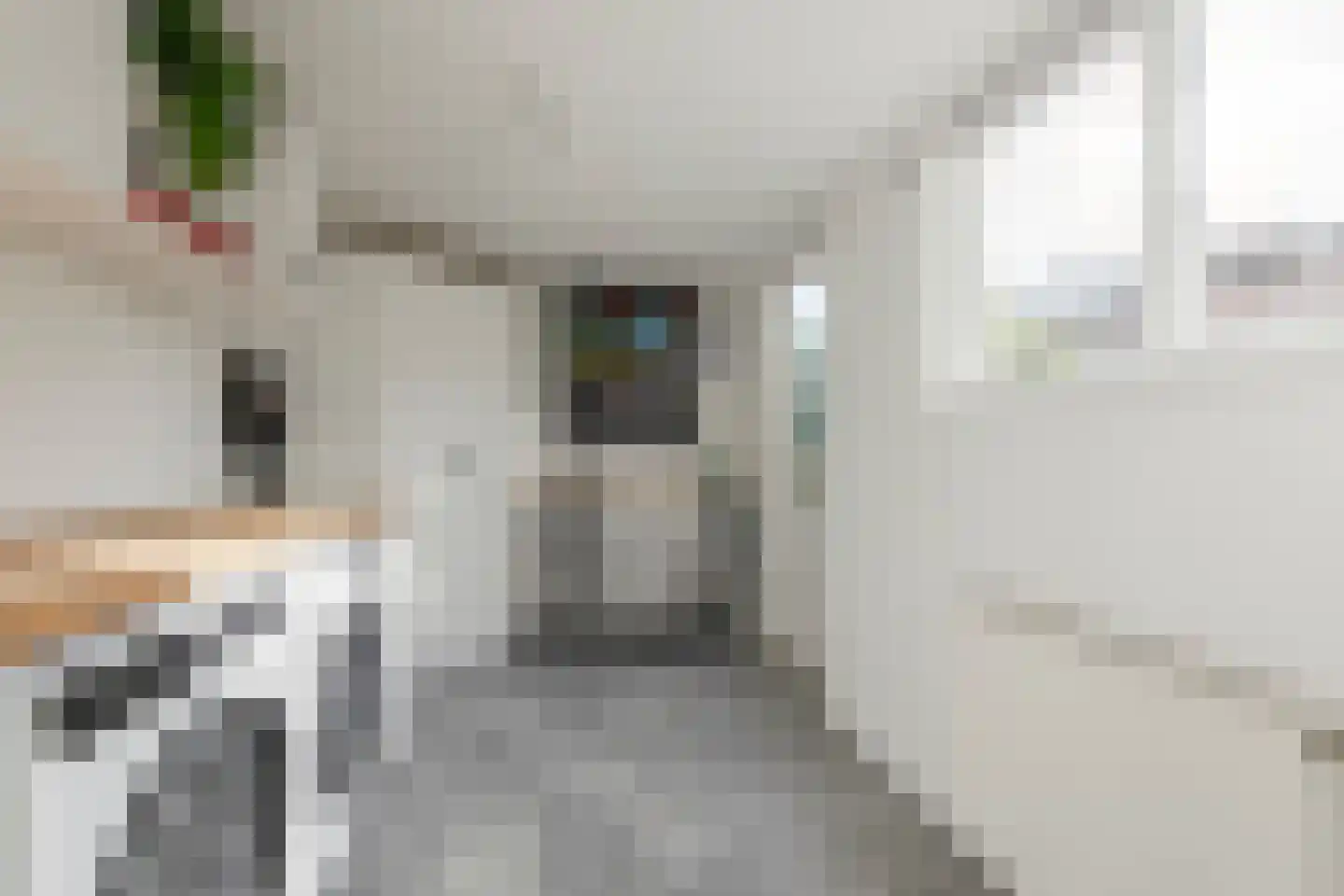 Driest 4 Eemnes thumbnail 21