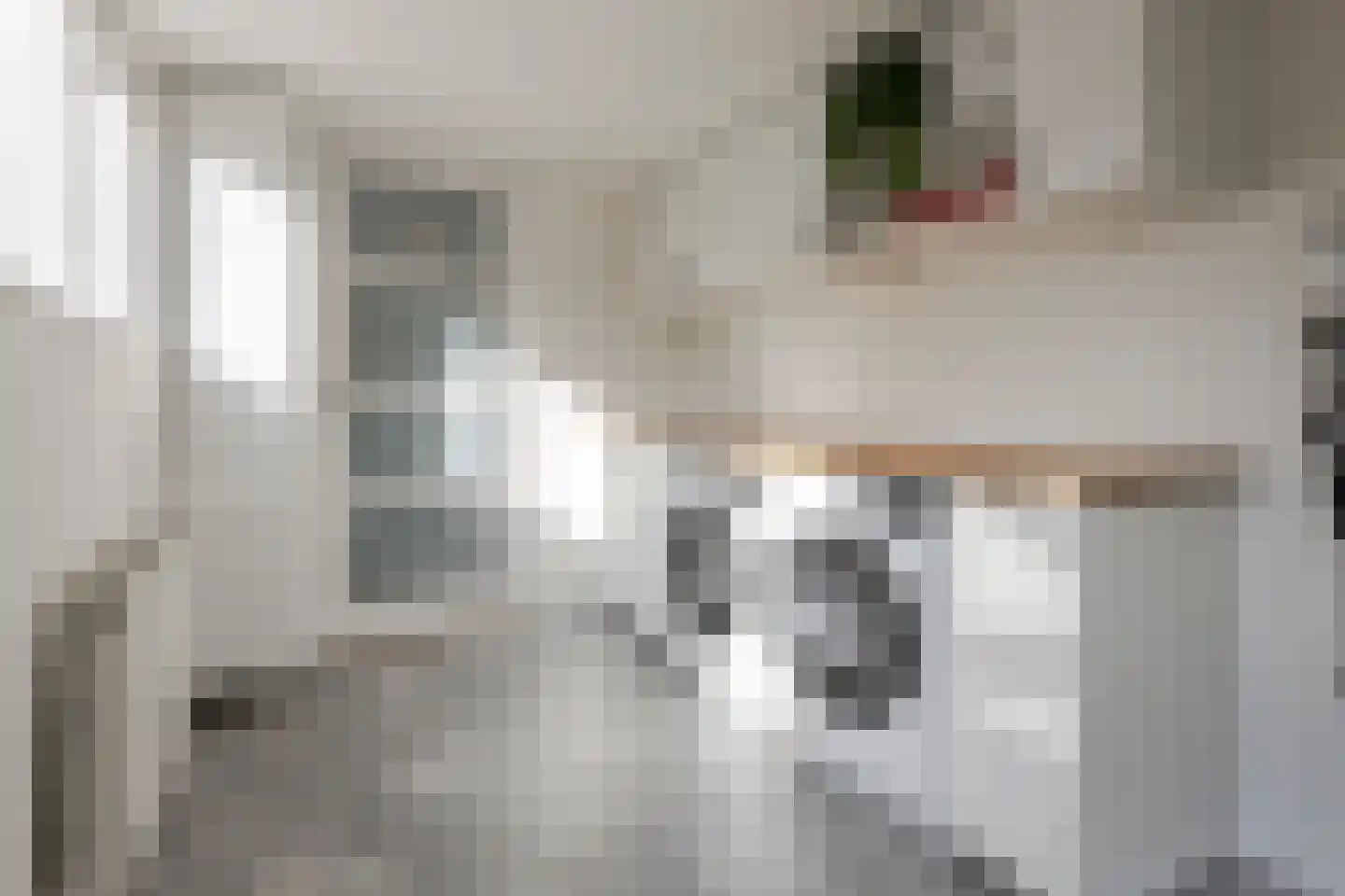 Driest 4 Eemnes thumbnail 23