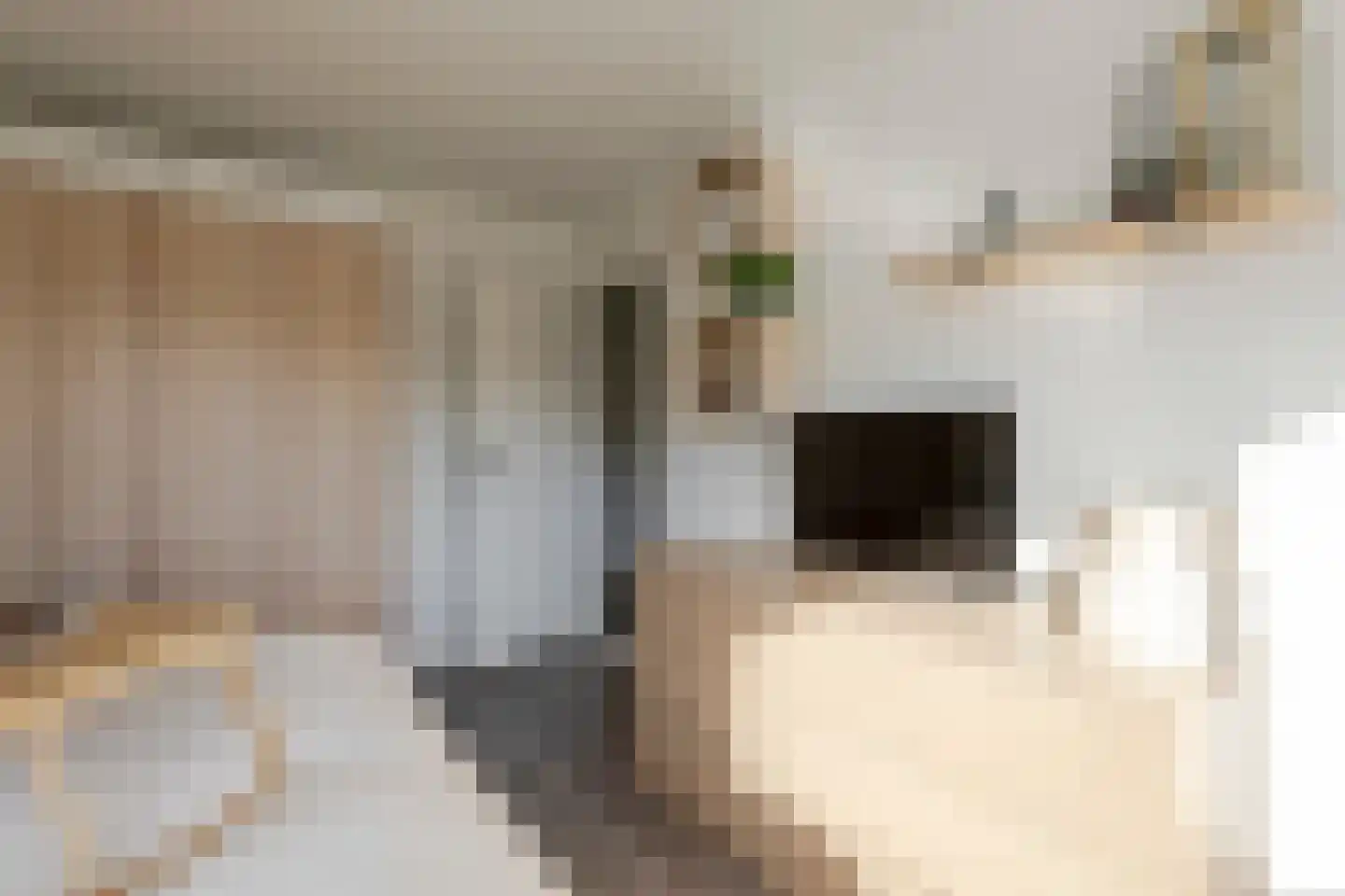 Driest 4 Eemnes thumbnail 28