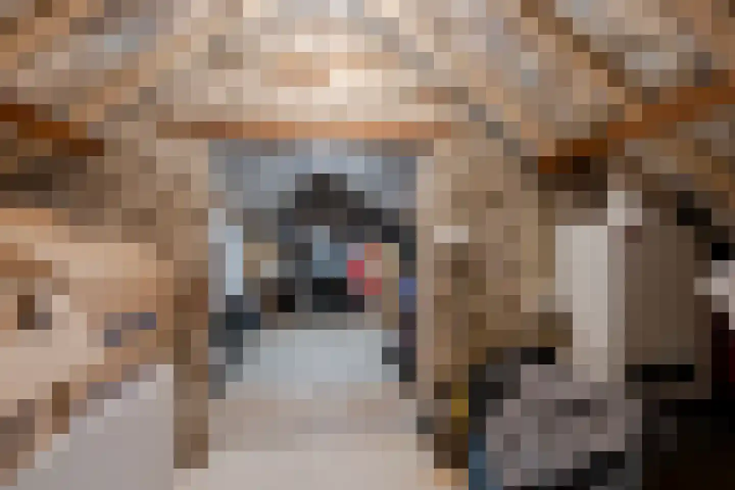 Driest 4 Eemnes thumbnail 37