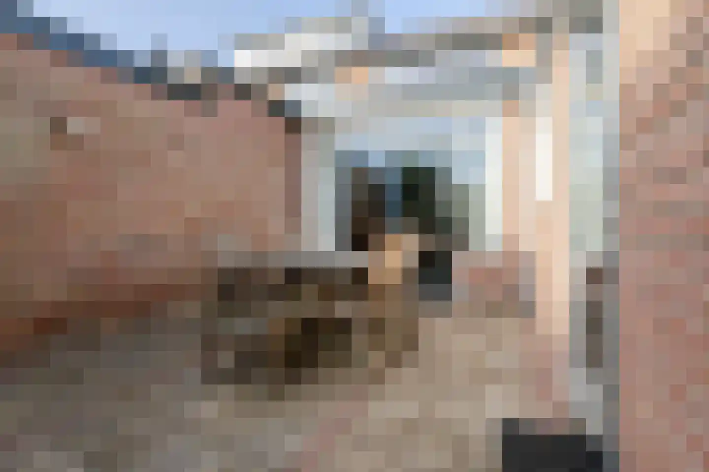 Driest 4 Eemnes thumbnail 40