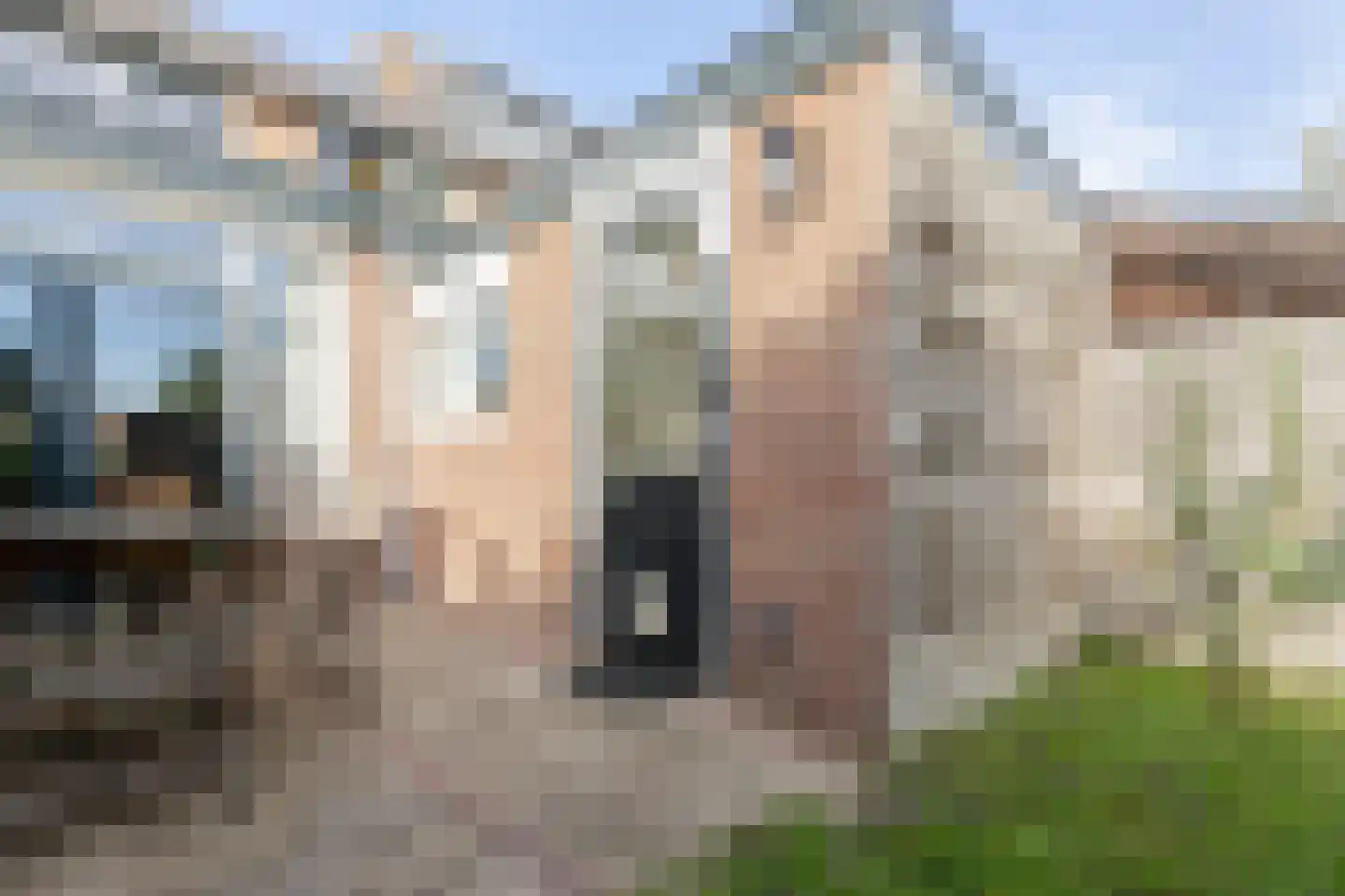 Driest 4 Eemnes thumbnail 41