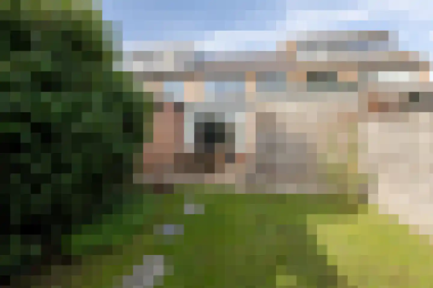 Driest 4 Eemnes thumbnail 6