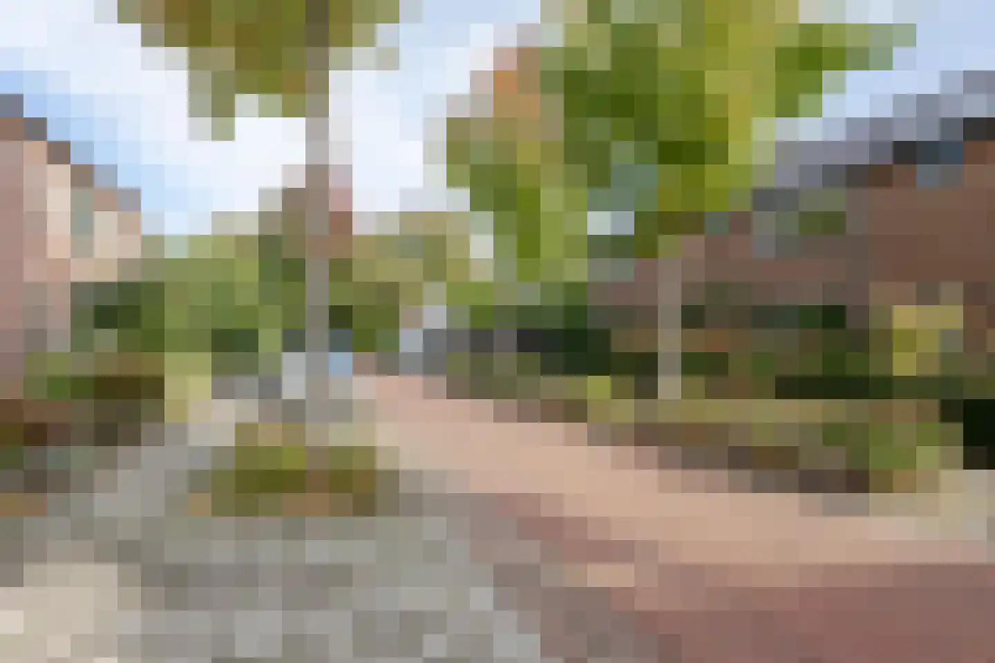 Driest 4 Eemnes thumbnail 7