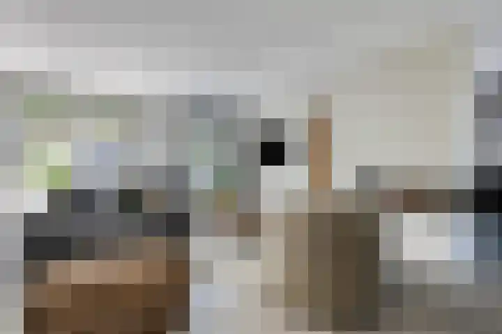 Driestapelenhof 10 Kaatsheuvel thumbnail 10