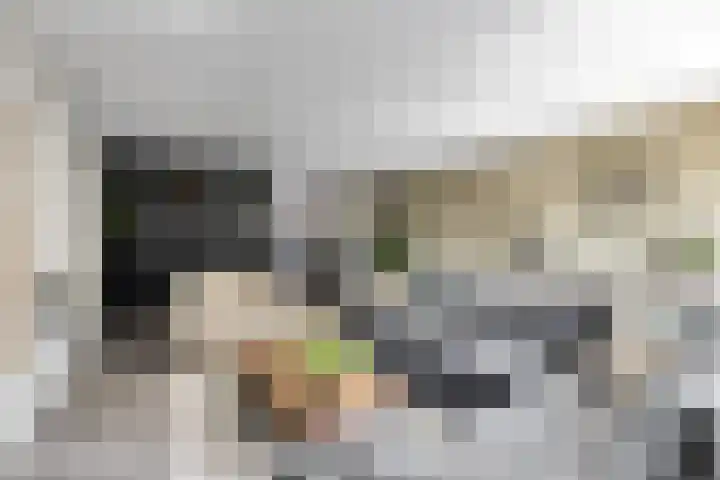 Driestapelenhof 10 Kaatsheuvel thumbnail 12