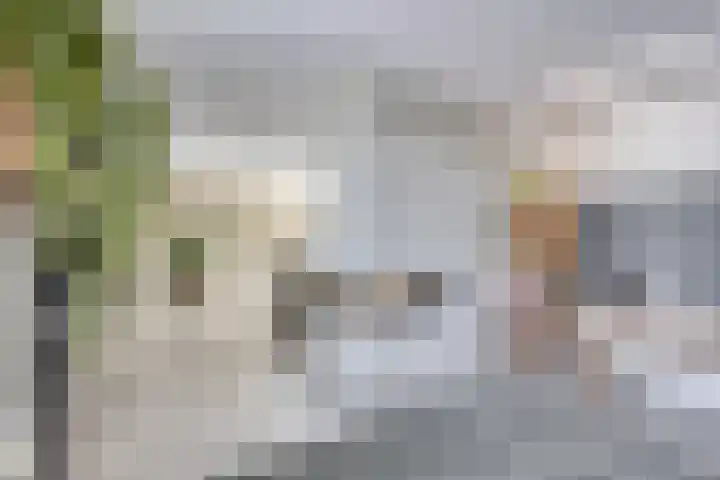 Driestapelenhof 10 Kaatsheuvel thumbnail 15