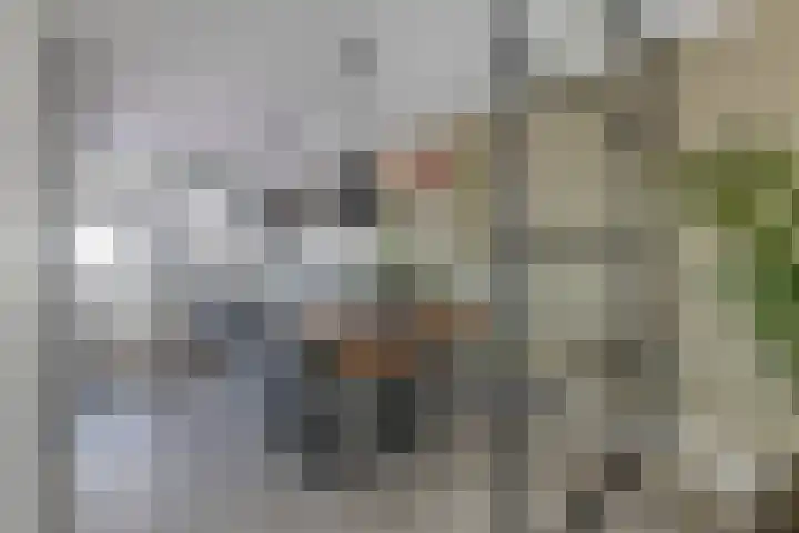 Driestapelenhof 10 Kaatsheuvel thumbnail 18