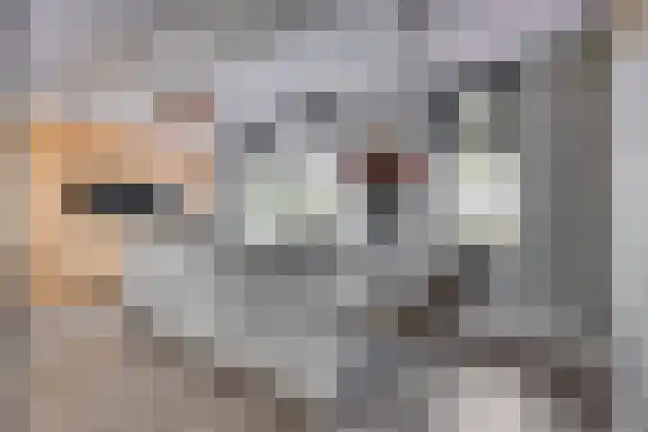 Driestapelenhof 10 Kaatsheuvel thumbnail 19