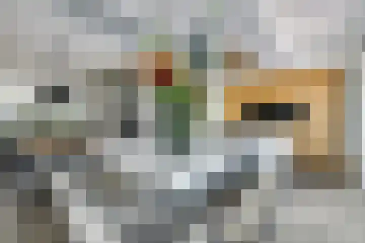 Driestapelenhof 10 Kaatsheuvel thumbnail 20