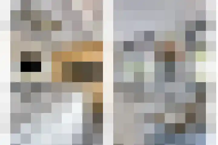 Driestapelenhof 10 Kaatsheuvel thumbnail 22