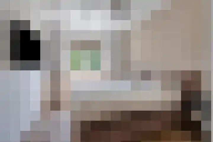 Driestapelenhof 10 Kaatsheuvel thumbnail 25