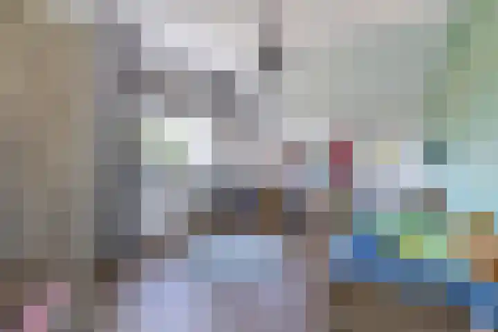 Driestapelenhof 10 Kaatsheuvel thumbnail 29