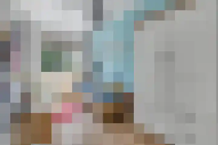Driestapelenhof 10 Kaatsheuvel thumbnail 30