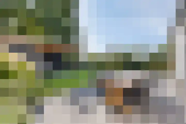 Driestapelenhof 10 Kaatsheuvel thumbnail 34