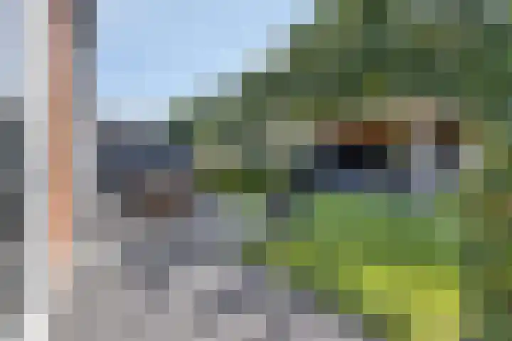 Driestapelenhof 10 Kaatsheuvel thumbnail 35