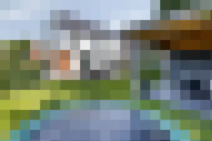 Driestapelenhof 10 Kaatsheuvel thumbnail 40