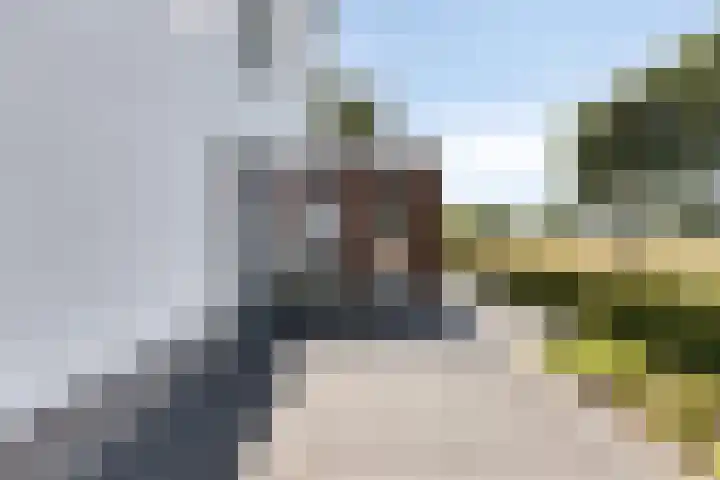 Driestapelenhof 10 Kaatsheuvel thumbnail 41