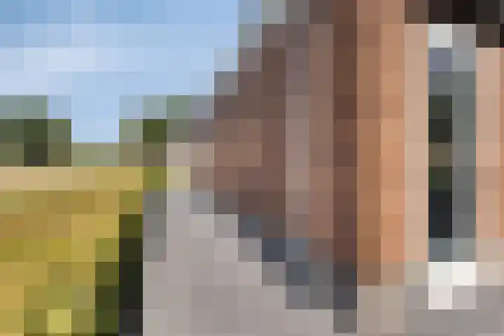 Driestapelenhof 10 Kaatsheuvel thumbnail 42