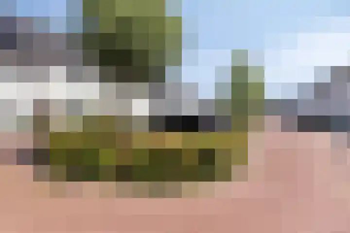 Driestapelenhof 10 Kaatsheuvel thumbnail 44