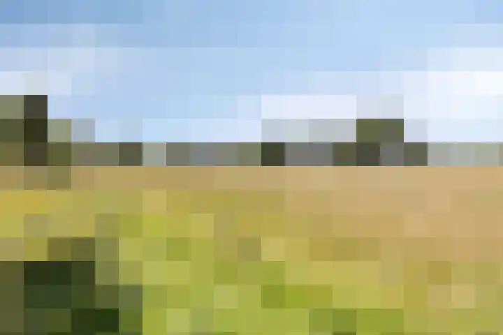 Driestapelenhof 10 Kaatsheuvel thumbnail 45