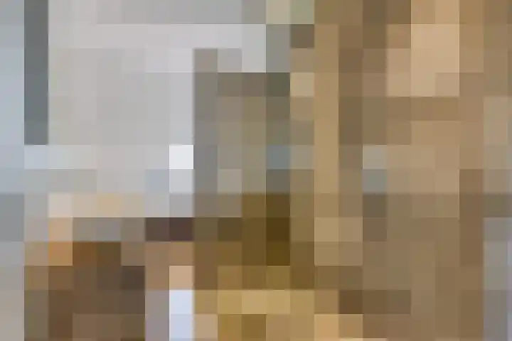 Driestapelenhof 10 Kaatsheuvel thumbnail 6