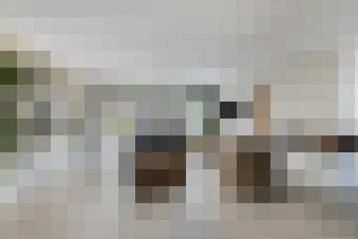 Driestapelenhof 10 Kaatsheuvel thumbnail 9