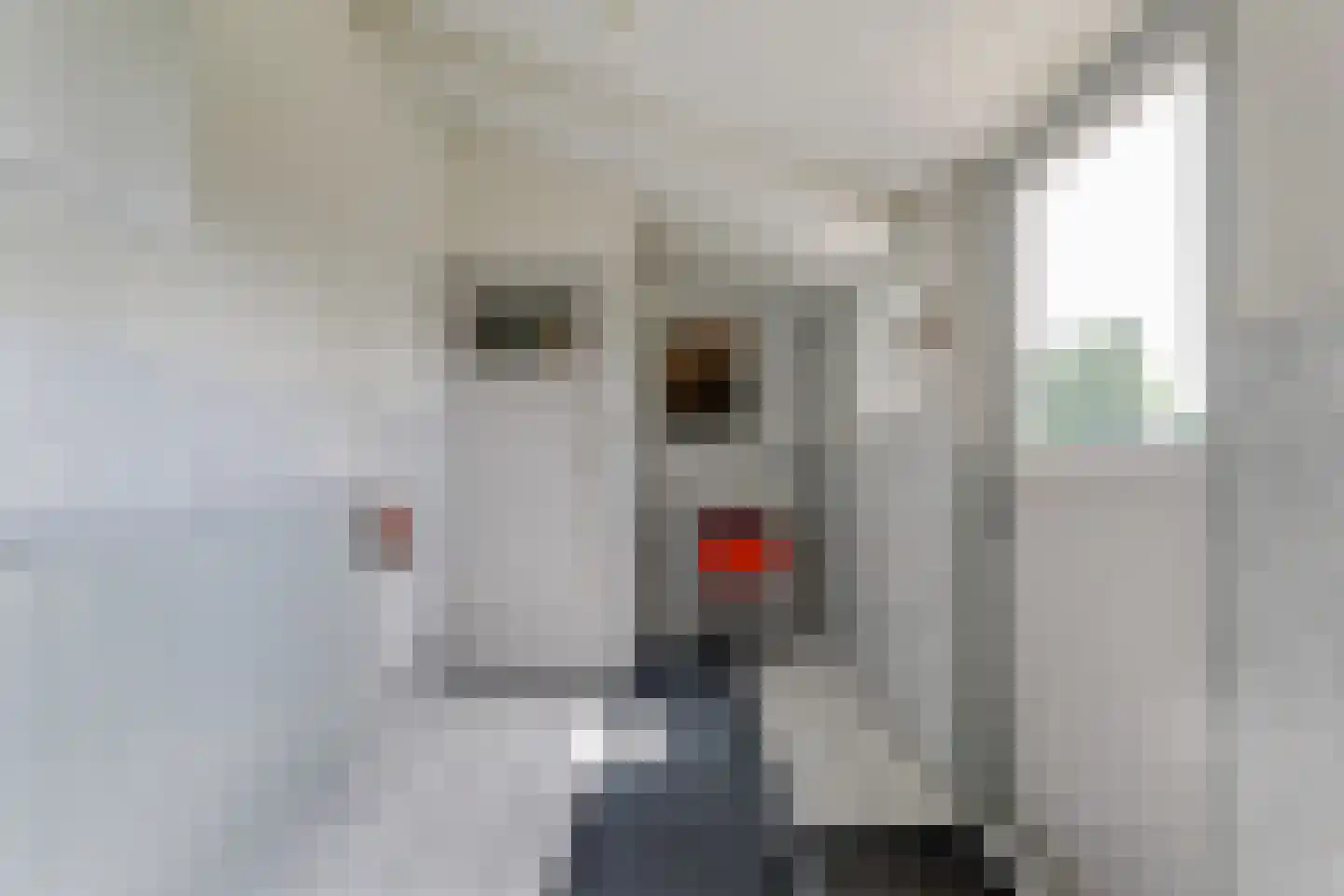 Driestedenweg 32 De Weere thumbnail 17