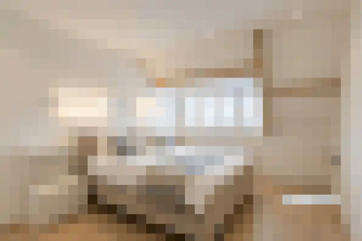 Driestedenweg 32 De Weere thumbnail 31