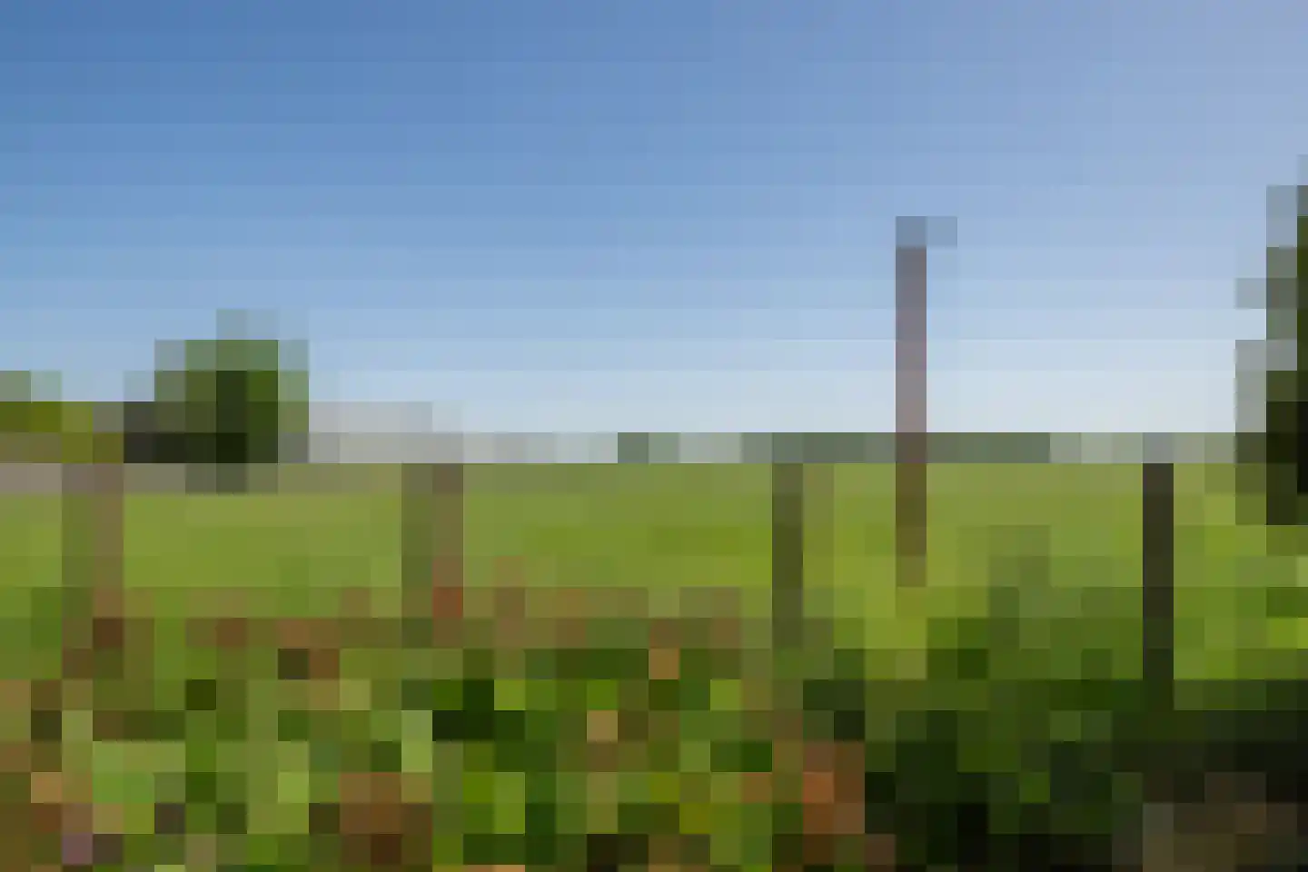 Driestedenweg 32 De Weere thumbnail 48