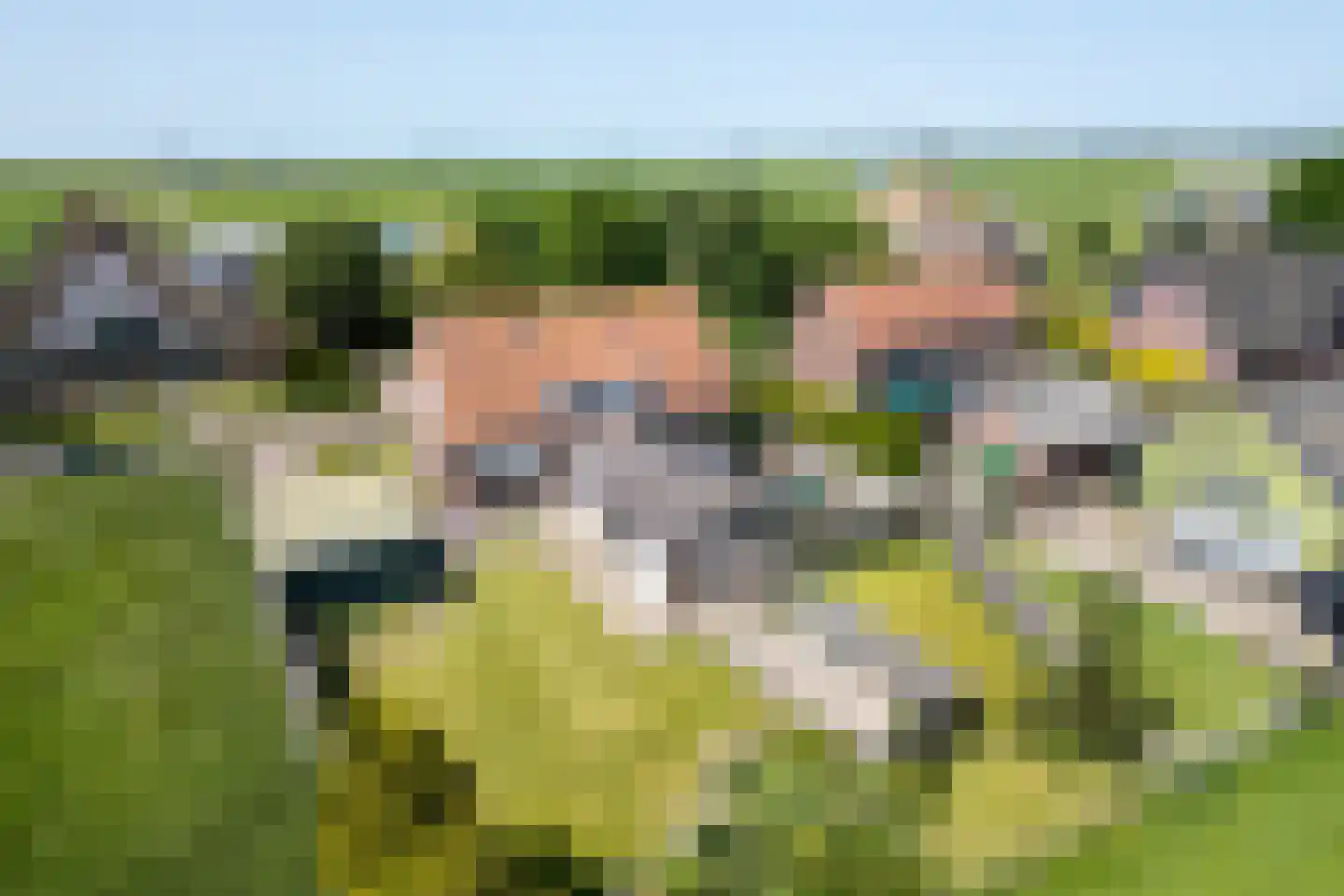 Driestedenweg 32 De Weere thumbnail 53