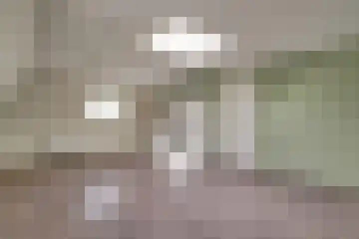 Driestedenweg 54 De Weere thumbnail 54