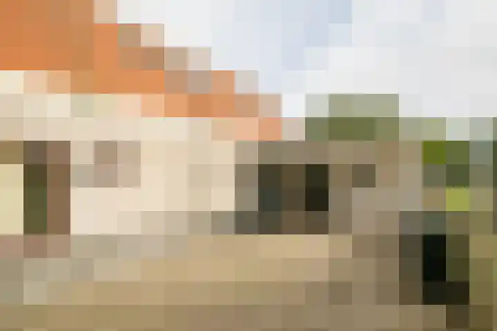 Driestedenweg 54 De Weere thumbnail 57