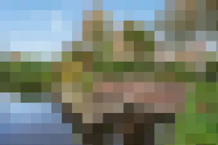 Driestedenweg 54 De Weere thumbnail 9