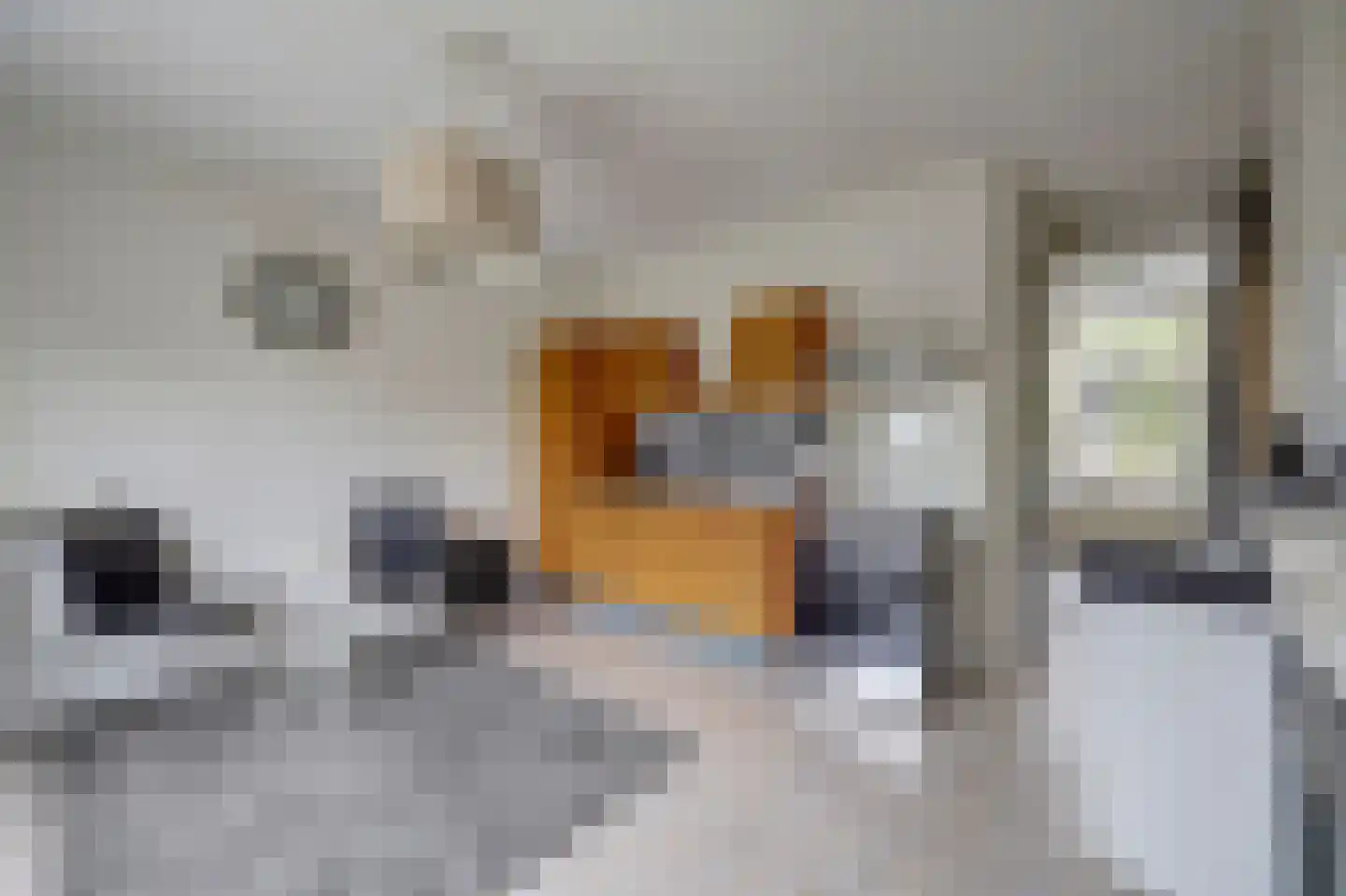 Driestweg 22 Nunspeet thumbnail 14