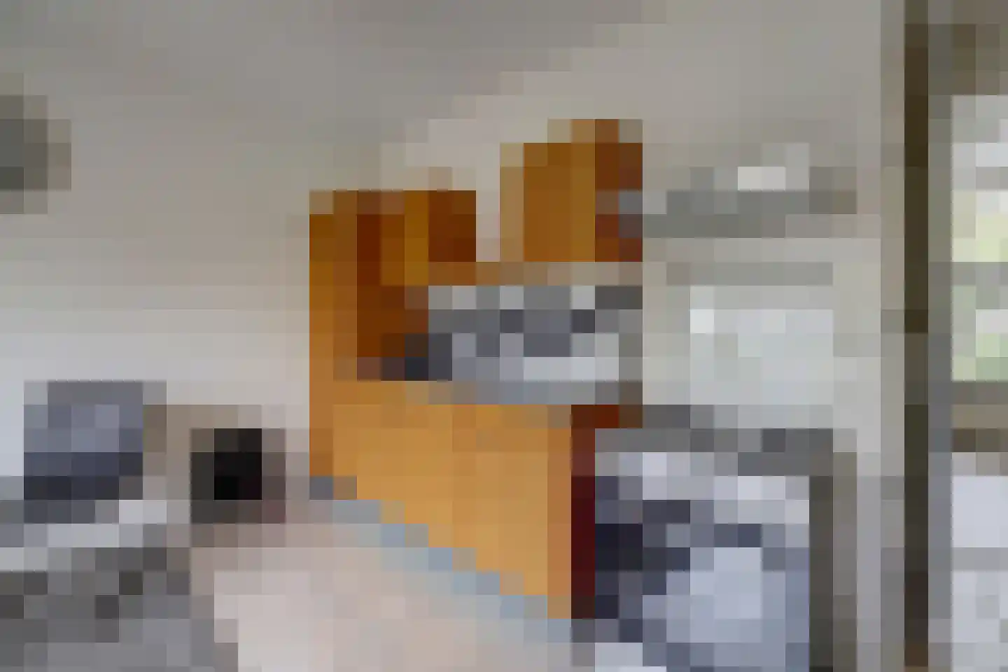 Driestweg 22 Nunspeet thumbnail 15