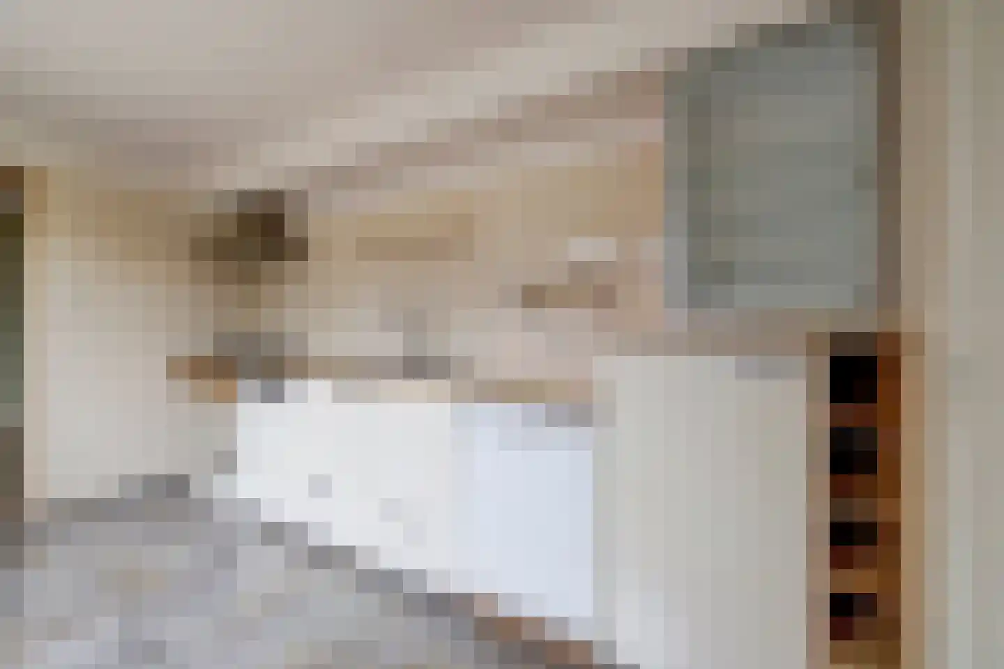 Driestweg 22 Nunspeet thumbnail 21
