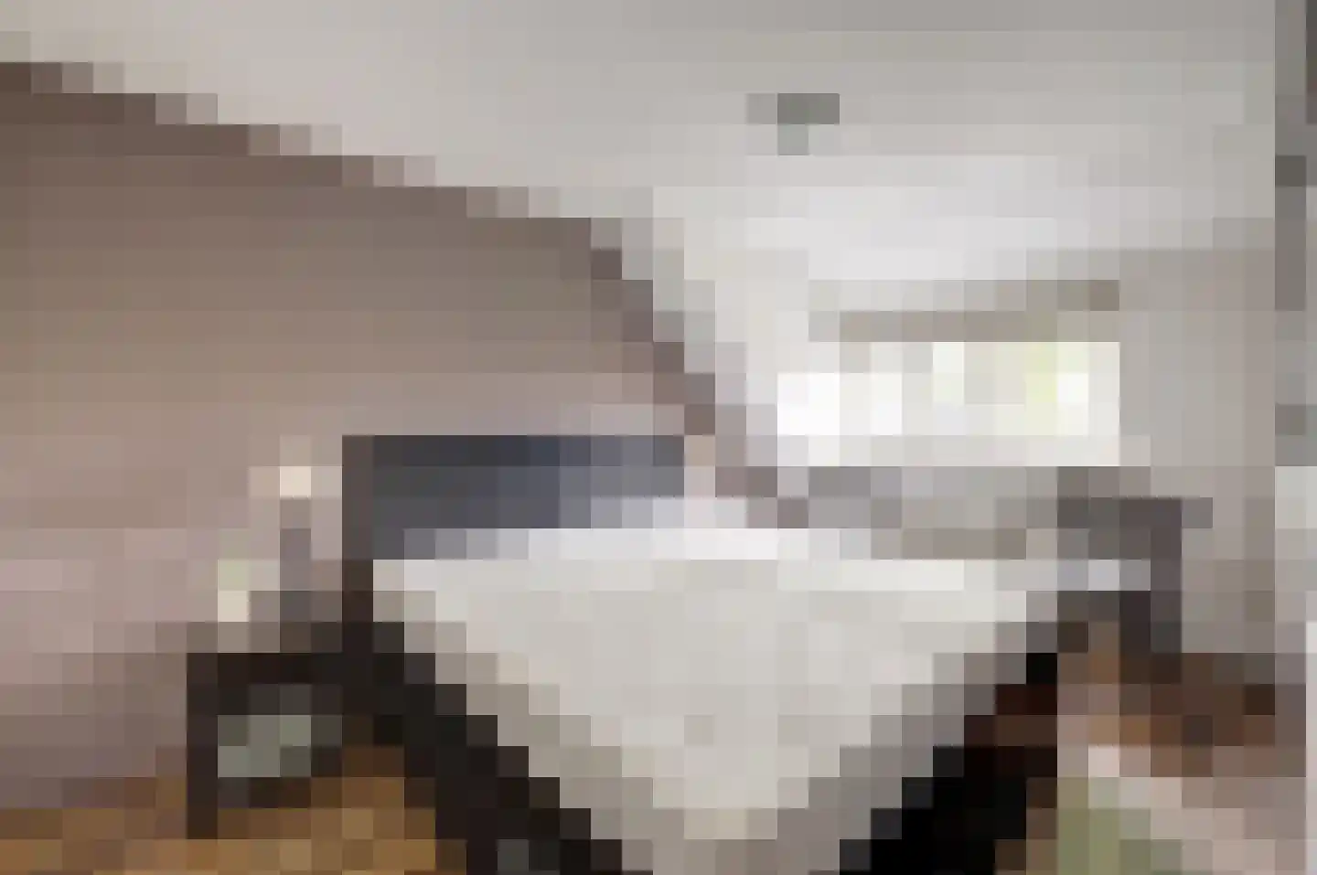 Driestweg 22 Nunspeet thumbnail 34