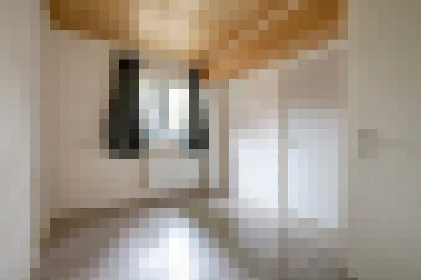 Driestweg 22 Nunspeet thumbnail 39