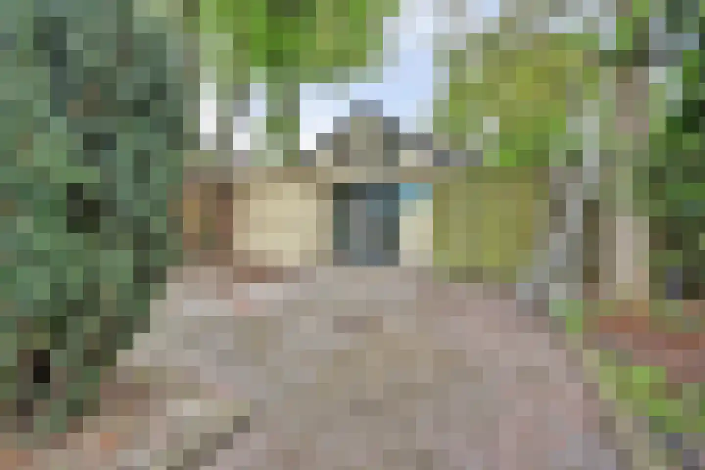 Driestweg 22 Nunspeet thumbnail 48