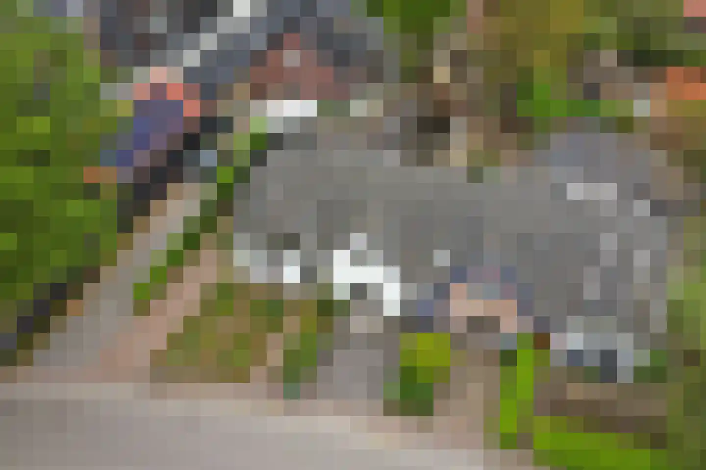 Driestweg 22 Nunspeet thumbnail 50