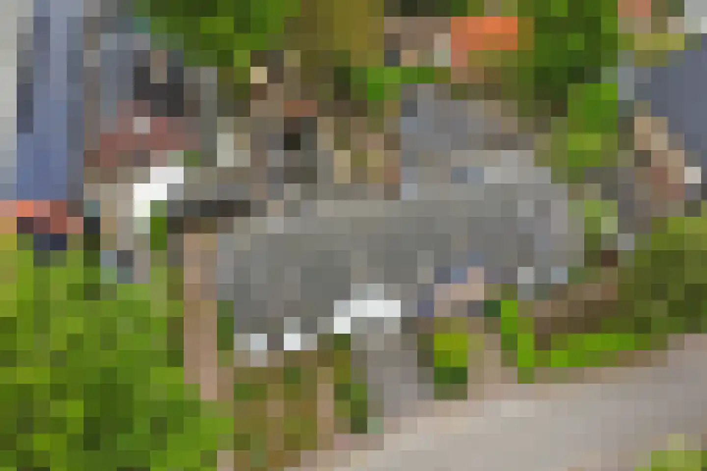 Driestweg 22 Nunspeet thumbnail 51