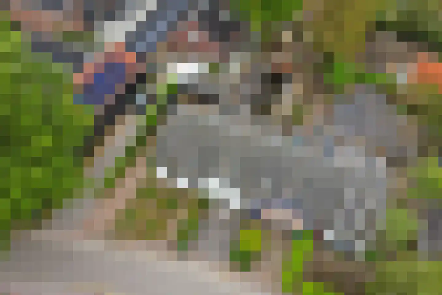 Driestweg 22 Nunspeet thumbnail 53