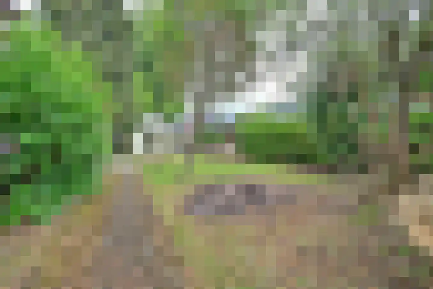 Driestweg 22 Nunspeet thumbnail 59