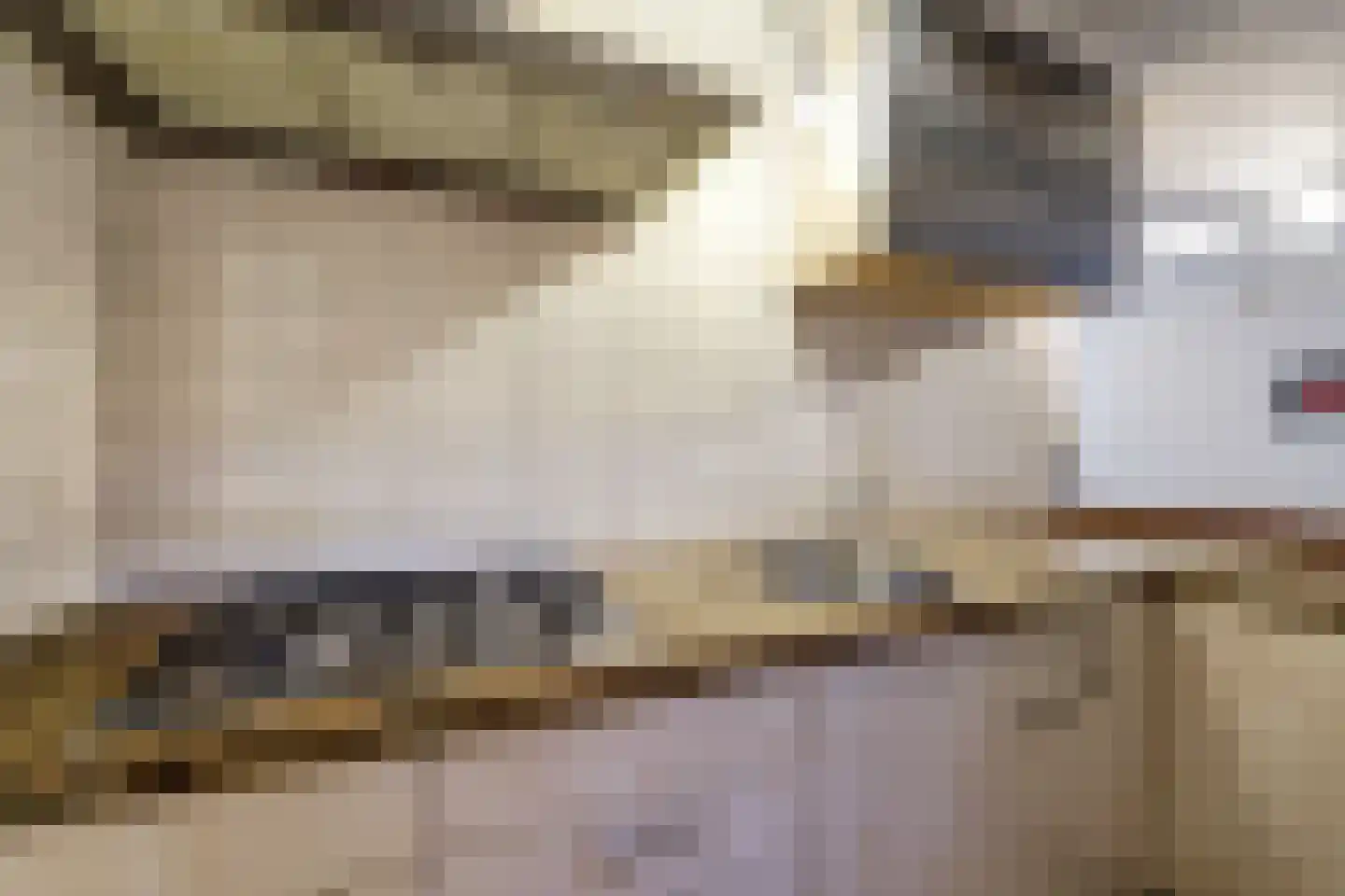 Driestweg 22 Nunspeet thumbnail 69