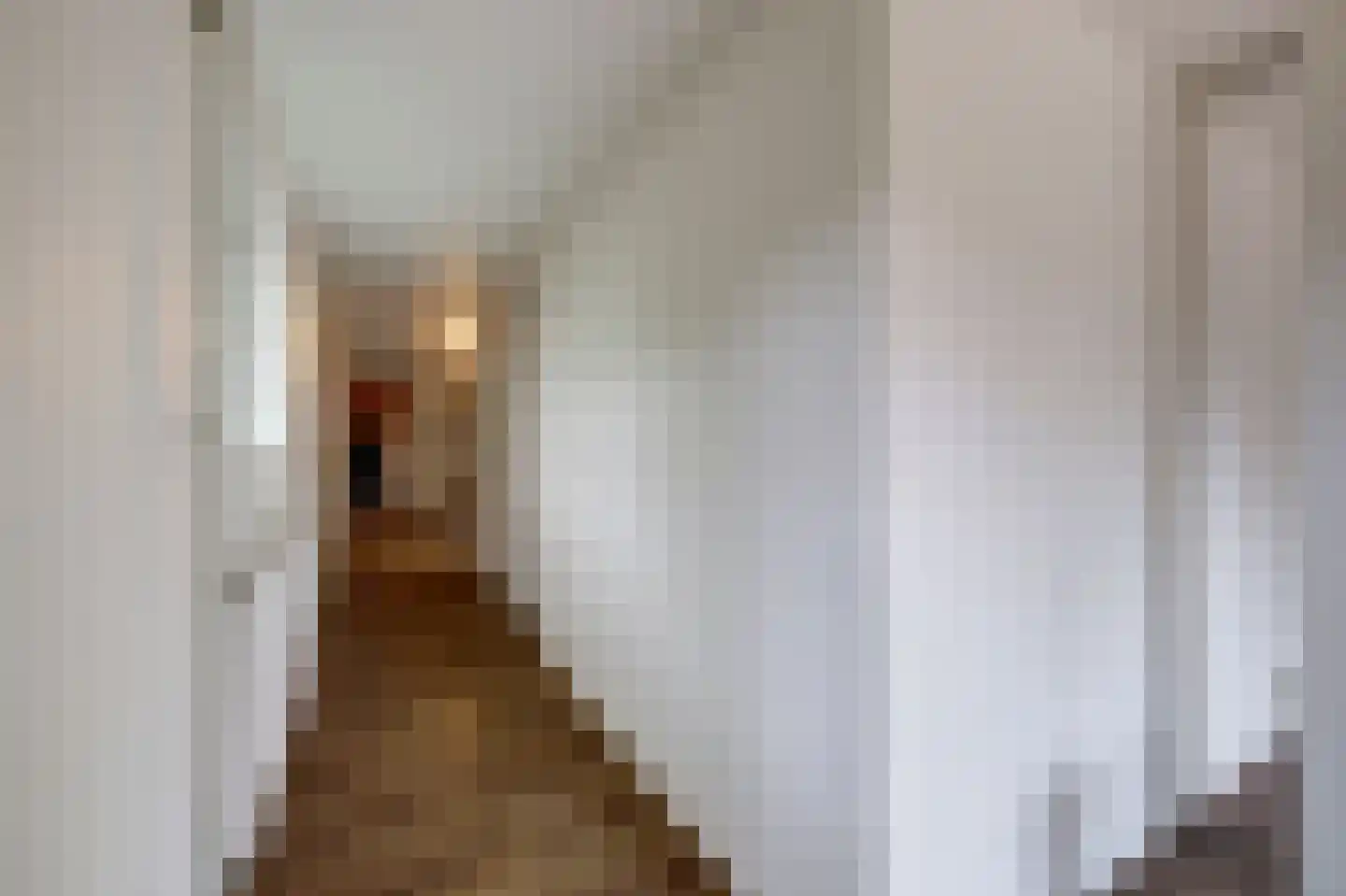 Driestweg 22 Nunspeet thumbnail 71