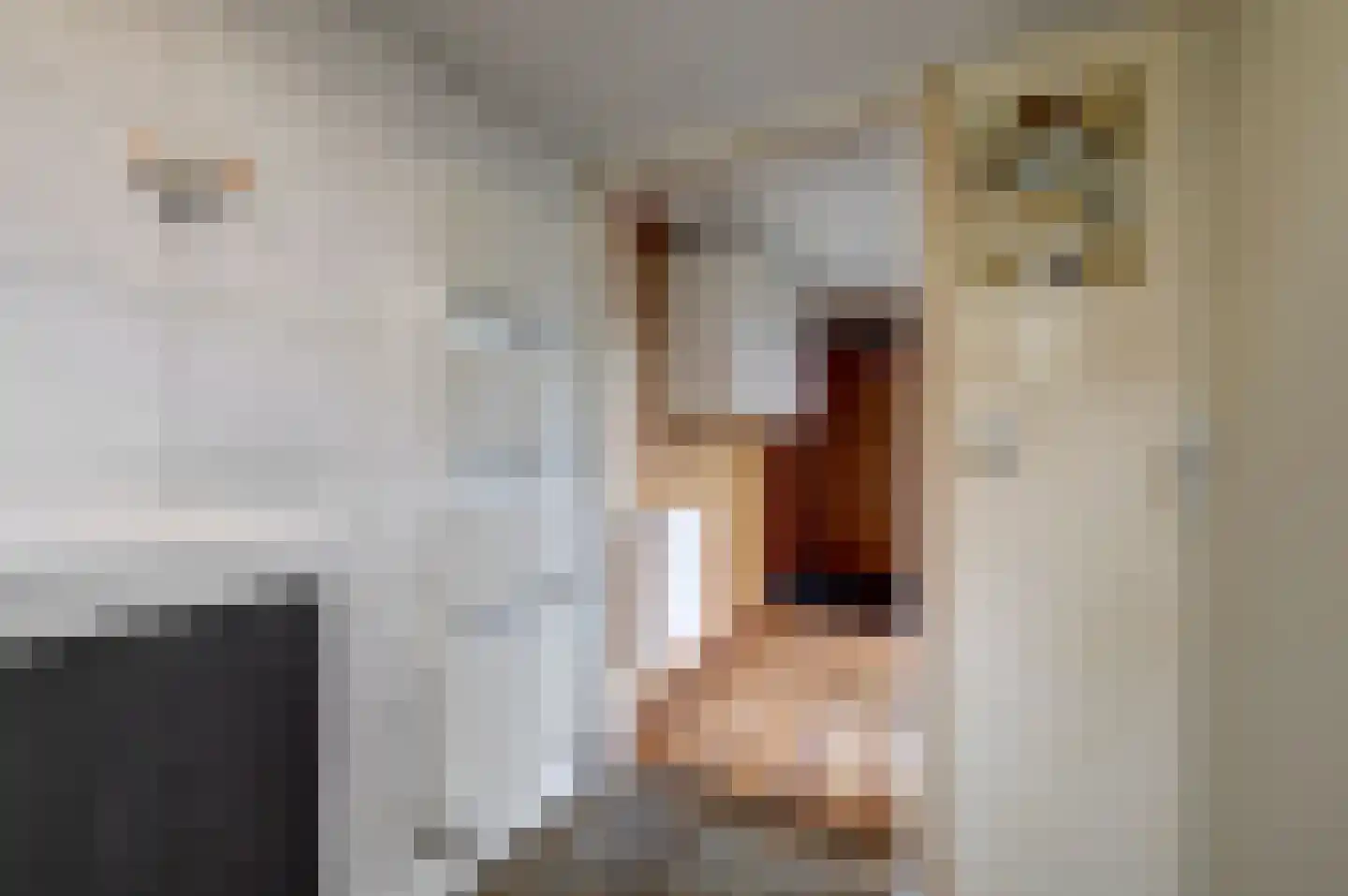 Driestweg 22 Nunspeet thumbnail 78
