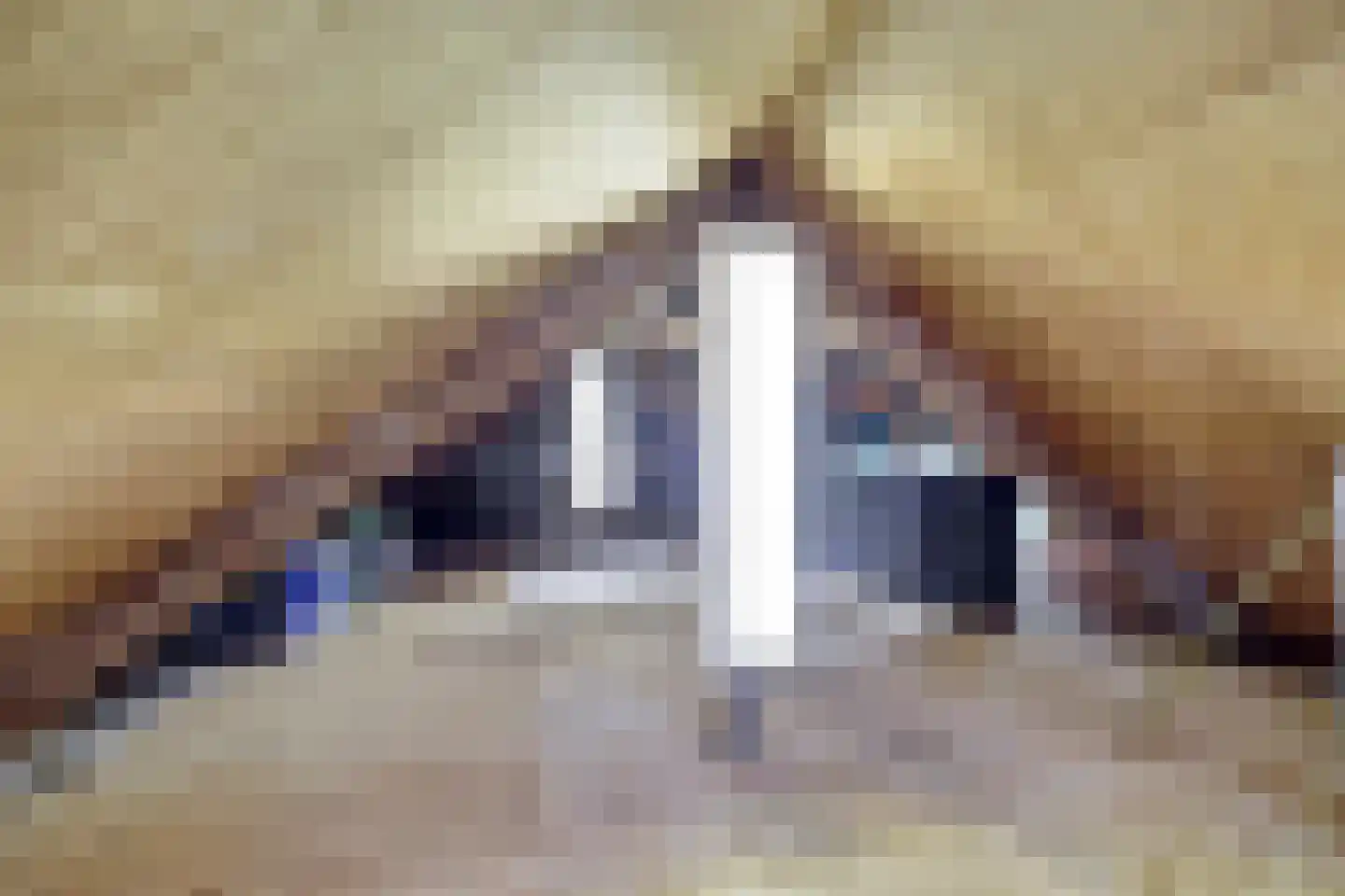 Driestweg 22 Nunspeet thumbnail 80